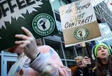Nhân viên Starbucks đồng loạt đình công vì kiệt sức, 65 cửa hàng 'đóng băng' đúng mùa lễ hội