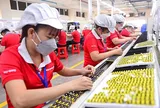 Làm khu công nghiệp xanh thu hút vốn FDI bền vững