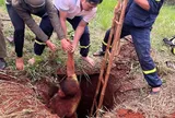 Đang làm việc, nam thanh niên 19 tuổi bất ngờ rơi xuống hố sâu 10m