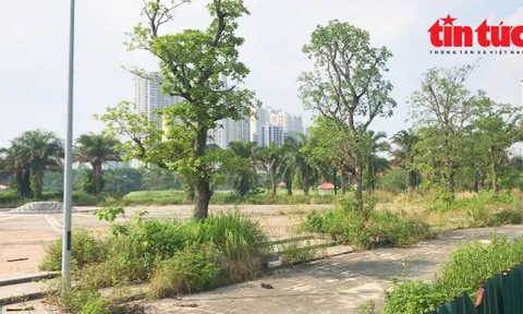 Công viên hồ điều hòa rộng gần 12 ha ở Hà Nội bị bỏ hoang