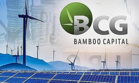 Ông Nguyễn Hồ Nam bị khởi tố, 7.200 tỷ Bamboo Capital vay VietinBank, TPbank, VPbank... sẽ ra sao?