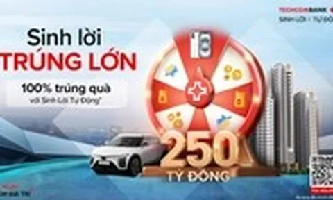 Cách Techcombank Sinh Lời Tự Động tối ưu hóa giá trị cho khách hàng