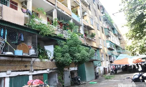 Người dân sống nơm nớp trong khu chung cư gần 50 năm tuổi "chờ sập" ở Nghệ An