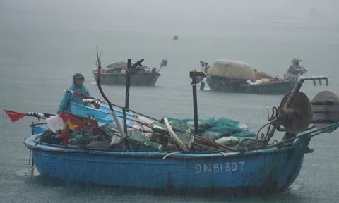 Đà Nẵng phát công điện khẩn ứng phó bão số 5