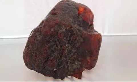Khối đá chặn cửa 'vô dụng' này hóa ra lại có giá trị lên tới hơn 30 tỷ đồng!