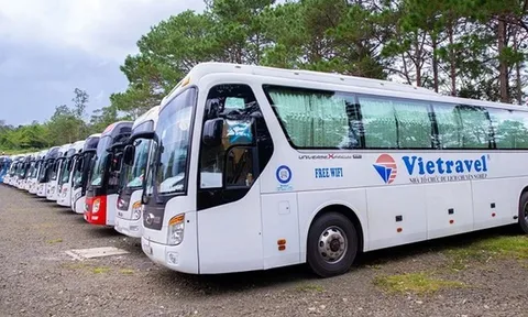 Nữ cổ đông bí ẩn mạnh tay chi tiền gom cổ phiếu Vietravel