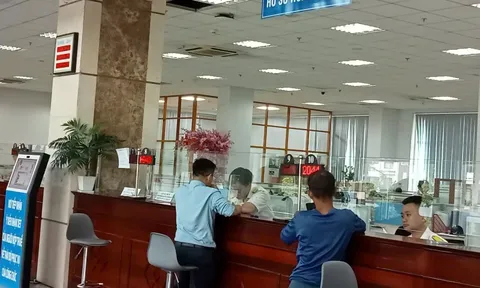 Người cho thuê nhà, văn phòng phải khai báo và nộp những loại thuế nào?