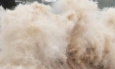 Biển Đông sắp đón áp thấp nhiệt đới, có thể gây mưa dịp Quốc khánh 2/9