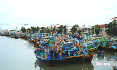 Trung tâm đăng kiểm chưa có con dấu khiến hàng trăm tàu cá không thể đăng kiểm ở Lâm Đồng