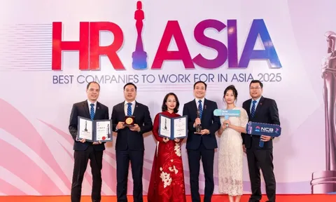 Giải mã lý do NCB thu hút nhiều nhân tài