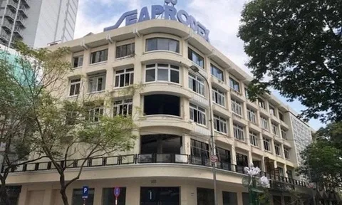 Red Capital thoái sạch 18 triệu cổ phiếu tại Seaprodex, lộ diện cổ đông lớn mới là chủ nhân loạt dự án bất động sản đình đám