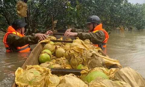Chiến sĩ công an ngâm mình trong nước lũ “giải cứu” đặc sản Hà Tĩnh