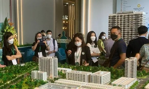 Loạt doanh nghiệp bất động sản 'vượt khó' nhờ doanh thu tài chính