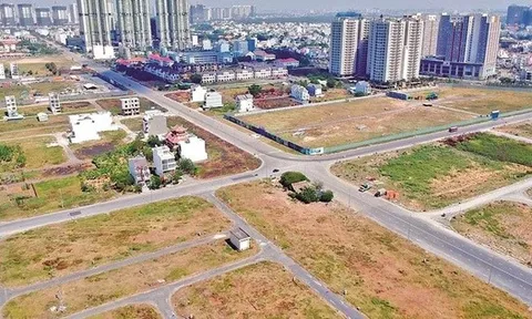 Ninh Bình đấu giá khu đất 8.000 m2 nằm giáp Bệnh viện Việt Đức 2