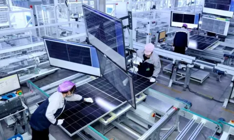 Bong bóng pin mặt trời của Trung Quốc vỡ tung: Top 6 doanh nghiệp lỗ hàng tỷ USD, giá bán rơi tự do, Bắc Kinh cân nhắc thành lập quỹ giải cứu