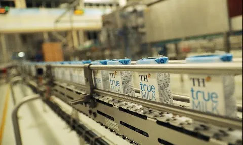 Sữa tươi sạch TH true MILK và quy trình sản xuất 12 bước tiêu chuẩn quốc tế