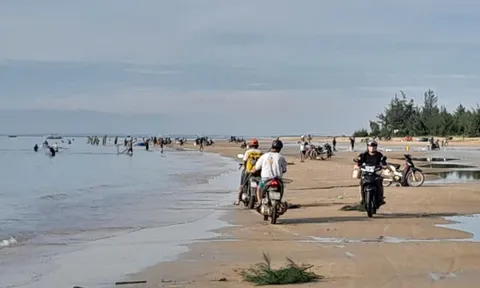 Ruốc về bờ dày đặc, hàng trăm người dân ra bãi biển vớt thu tiền triệu