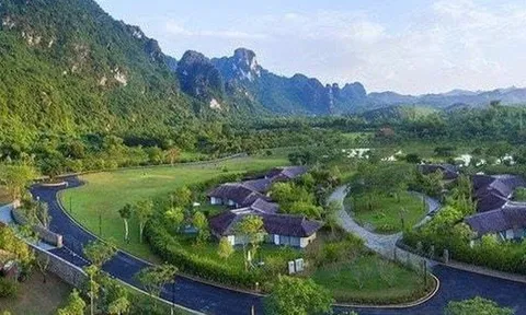 Du lịch Lạc Hồng báo lỗ ròng trong nửa đầu năm 2025