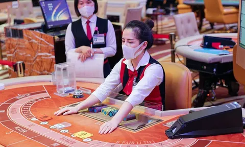 Các 'ông chủ' chuỗi casino Hạ Long, Phú Quốc lỗ lũy kế trăm tỉ, ngàn tỉ