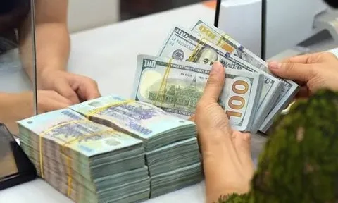 Năm ngoái, một số người Việt trong nước nhận khoảng 16 tỷ USD