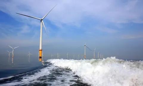 Điện gió ngoài khơi không tìm thấy tương lai ở cường quốc kinh tế số 1 thế giới