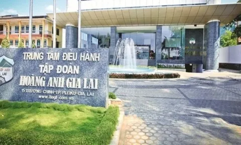 Thay đổi lô trái phiếu 1.000 tỷ của Công ty con Hoàng Anh Gia Lai (HAG): Giảm lợi tức được chia từ các công ty trông dâu tằm và cà phê còn 11,5%