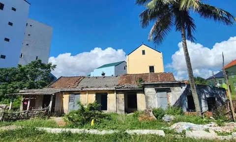 Hai cựu cán bộ Tỉnh đoàn Quảng Trị khiếu nại "đòi" chia đất tập thể hơn 430m²