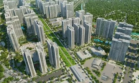 Thái Sơn cải thiện từ lỗ sang lãi, nợ gấp hơn 4 lần vốn chủ sở hữu
