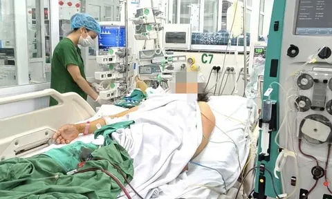 Sốt xuất huyết bùng phát, người lớn, người cao tuổi liên tục nhập viện