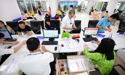 Nghiên cứu phương án sắp xếp đơn vị sự nghiệp, trường học, cơ sở y tế, doanh nghiệp nhà nước