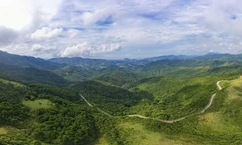 Quảng Ninh có hơn 36.300ha rừng "bền vững"