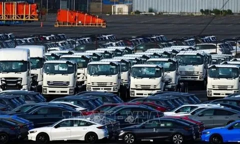 Mỹ giảm thuế quan đối với ô tô nhập khẩu từ Nhật Bản xuống 15% từ ngày 16/9