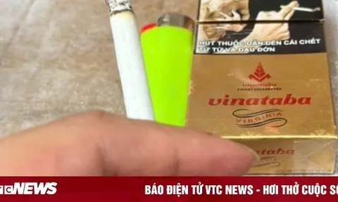 230 người Việt chết mỗi ngày vì thuốc lá
