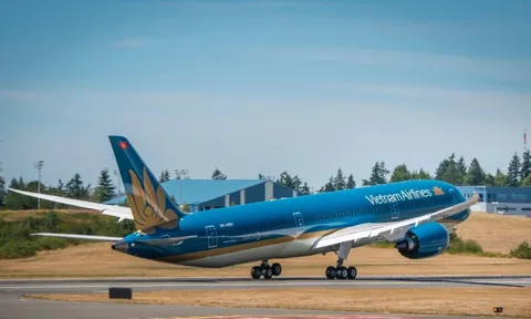 Máy bay Vietnam Airlines từ Đức về TPHCM hạ cánh khẩn cấp ở Thổ Nhĩ kỳ