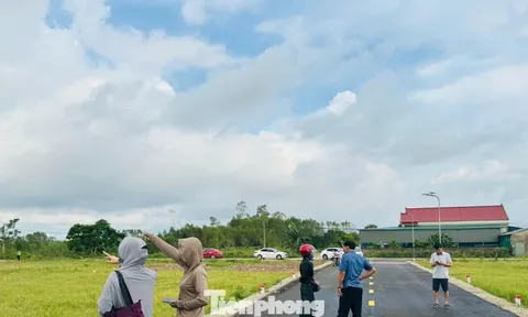 Cảnh tượng ‘cò đất’ ùn ùn đổ về, ô tô đậu kín đường làng sau công bố quy hoạch