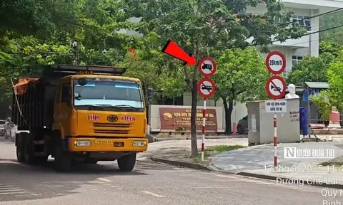 Xe ben ồ ạt chạy vào đường cấm ở Gia Lai: Dân kêu cứu, CSGT vào cuộc