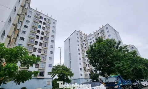 Giá nhà chung cư Đà Nẵng ‘nhảy múa’ chóng mặt