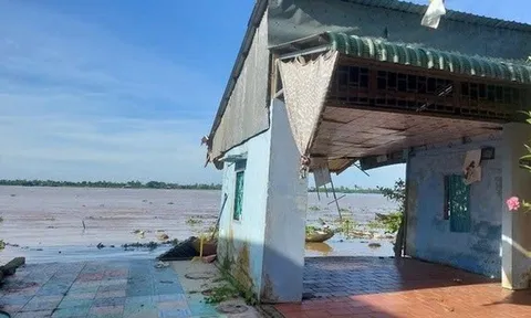 Đồng Tháp chỉ đạo xử lý vụ 7 căn nhà sạt lở xuống sông Tiền