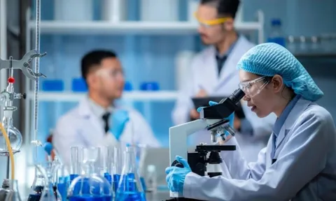 Tin vui có hiệu lực từ 19/9: Chuyên gia khoa học, công nghệ, đổi mới sáng tạo và chuyển đổi số được hỗ trợ 1 tháng lương để ổn định chỗ ở, thưởng hằng năm tới 4 tháng lương