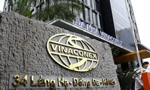 Vinaconex bổ nhiệm 2 Phó Tổng Giám đốc