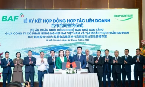 BAF bắt tay Muyuan trong dự án nuôi heo nhà cao tầng 12.000 tỷ đồng