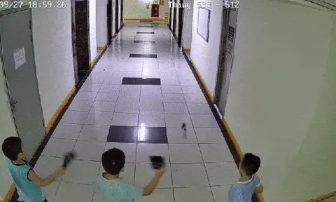 Tranh cãi vụ cháu bé ở Hà Nội ném dép trúng van nước chung cư khiến 4 thang máy lênh láng, hư hỏng