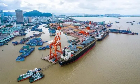 Gia Lai yêu cầu bàn giao đất tái định cư, dọn mặt bằng Cảng Quy Nhơn