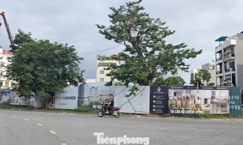'Choáng' với giá chung cư ở tỉnh lẻ 'nhảy múa' lên đến 80 triệu đồng/m2