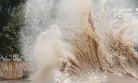 Bão Matmo tối nay vào Biển Đông