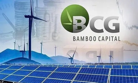 Bamboo Capital và Tracodi xin lỗi cổ đông