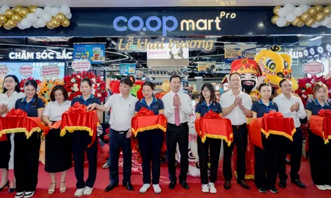 Co.opmart Pro Vũ Yên: Điểm mua sắm 5 sao giữa đảo ngọc Hải Phòng