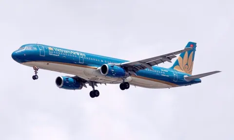 Pacific Airlines triển khai dịch vụ trọn gói trên các đường bay nội địa