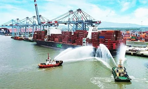 TP.HCM tiếp tục hiện đại hóa cảng cửa ngõ quốc tế Cái Mép - Thị Vải