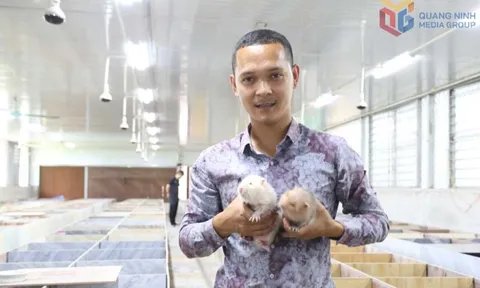 Từ hai bàn tay trắng, không bằng cấp, chàng trai 9X Quảng Ninh gây dựng cơ đồ bạc tỷ, nổi danh khắp vùng